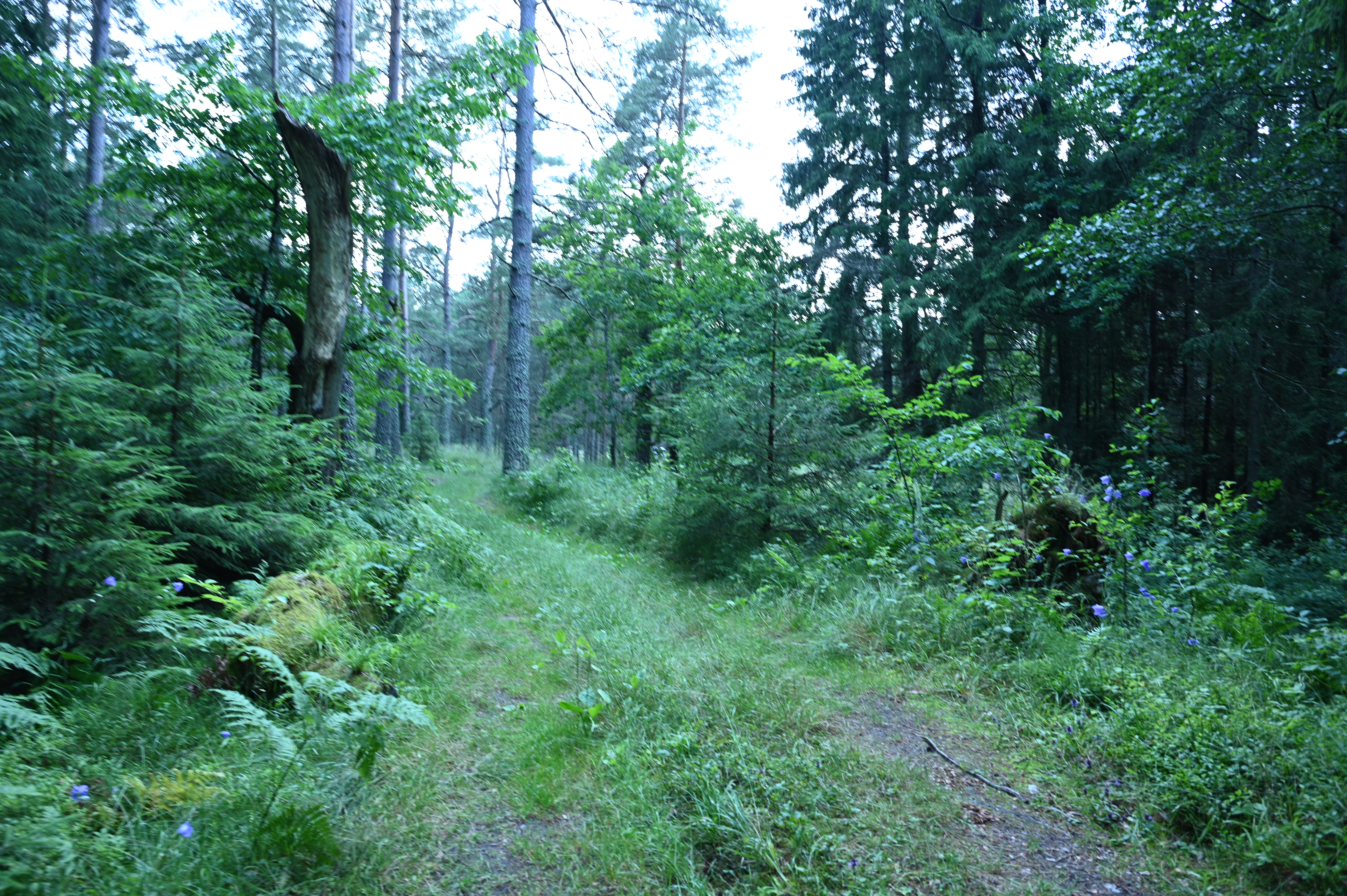 2025/07/09-14 - trip/DSC_0263.JPG